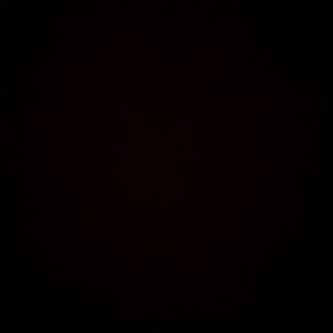 Meet your Posher, Violet